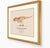 Atelier Aria Lumae Kai Hanna Van Wouden Giganotosaurus Carolinii Original Scientific Watercolor Fine Art Cotton Rag Gallery Board Print 20 X 16 For Sale - Image 9 of 15