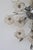 1970s Italian Large Size Gold and Transparent Murano Glass Wall Light or Ceiling Light Flower For Sale - Image 13 of 17