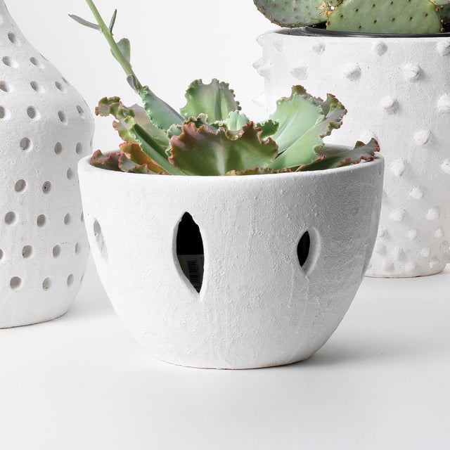 Mimicking the matte white finish of plaster, the Lacerated Bowl creates texture without adding visual weight to the look...