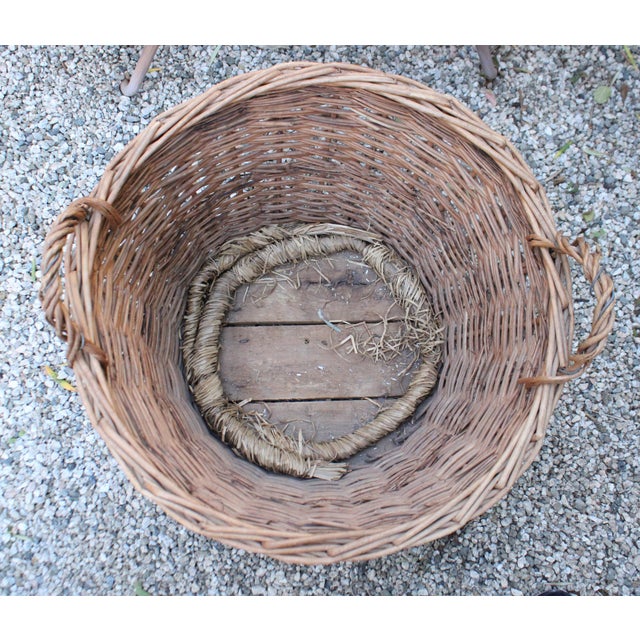 Tan Ext. LRG Provincial Woven Rattan "Made in France" and Glass Vino Bottle Basket For Sale - Image 8 of 9