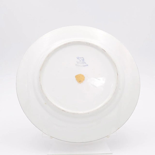 Ceramic 1920s Dresden Plates, Germany - Set of 5 For Sale - Image 7 of 9