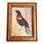 Contemporary Original “Redwing Blackbird Study” Painting by Anna Heigh For Sale