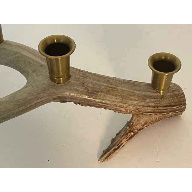 1970s Caribou Antlers Brass Candlestick For Sale - Image 4 of 4