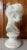Realism Antique Carved Marble Bust of a Young Girl For Sale - Image 3 of 12