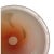 1980s Michael Scheiner (American, B. 1956) - Vintage Hand Blown Abstract Pink Glass Disk, Signed (1980) For Sale - Image 5 of 6
