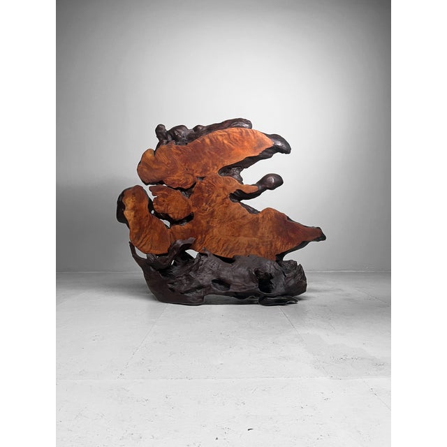 Japanese Burl Wood Decoration For Sale - Image 14 of 15