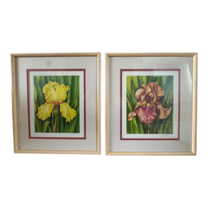 Manabu Saito Limited Edition Iris Botanical Prints Signed Set of 2 Framed Floral