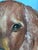 Vintage Original Dog Portrait Oil Paintings - Set of 2 For Sale - Image 12 of 16