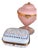 Beautiful antique pale blue opaline glass box // Napoleon III era // 1850-1870 // hand-enameled boule de savon hinged box // collectible For Sale