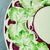 Wedgwood Wedgwood Hand Painted Burgundy & Green Leaf Plates, Set of 10 For Sale - Image 4 of 13