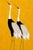 Golden Crane Portrait I features two elegant cranes set against a luminous golden backdrop inspired by historical Japanese...