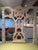 Late 20th Century Irish Chippendale Revival Painted Ribbon-Back Dining Chairs – Set of 6 For Sale - Image 4 of 4
