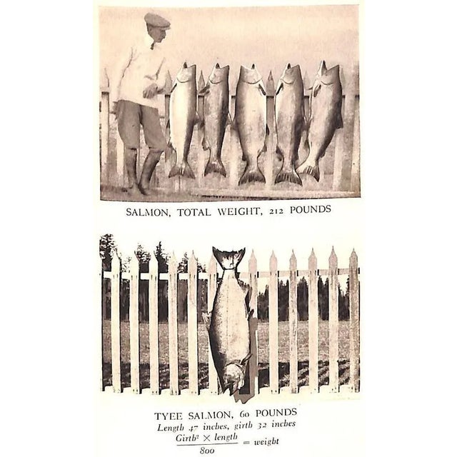 "Sport on Land and Water: Volumes I, Ii, Iii" 1913 Griswold, Frank Gray For Sale - Image 17 of 18