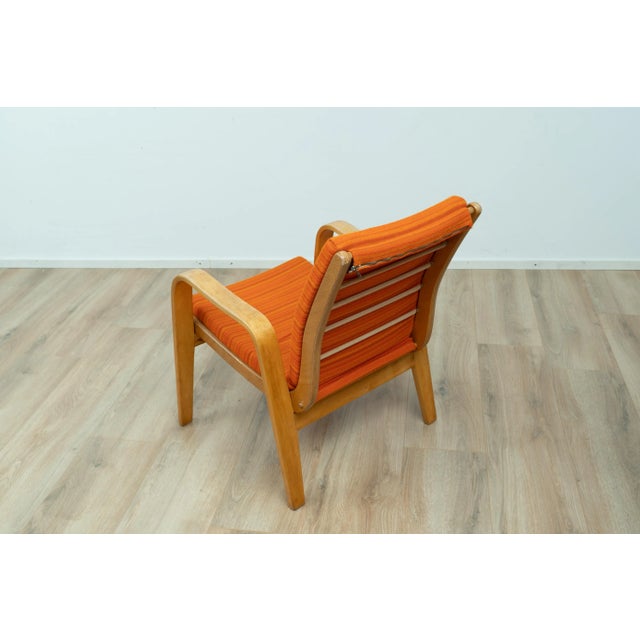 Model FB05 Lounge Chair by Cees Braakman For Sale - Image 13 of 14