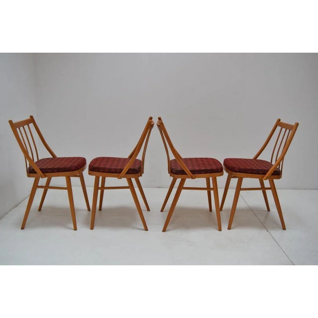Wood Dining Chairs by Antonín Šuman, 1980s, Set of 4 For Sale - Image 7 of 11