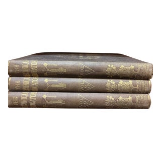 Antique Cassell's Technical Educator 3 Vol Set Encyclopedia Art Color Plates For Sale