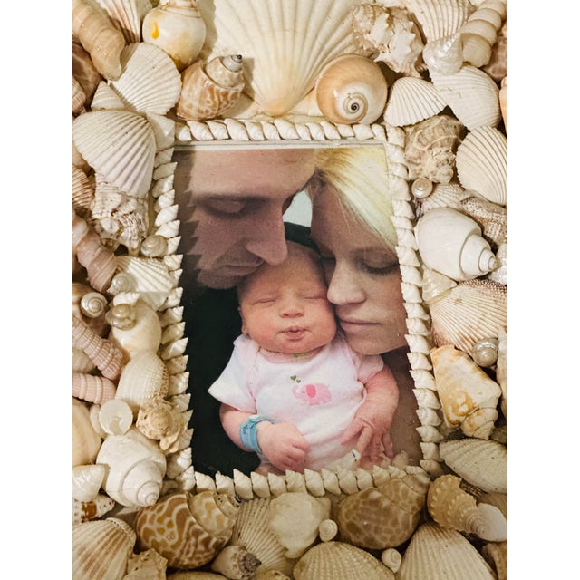 Eggshell 1970s Vintage Tony Duquette Style Seashell Picture Frame For Sale - Image 8 of 8