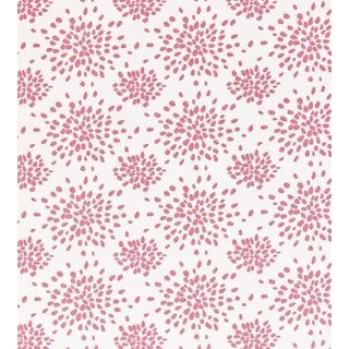 The House of Scalamandré Fireworks Cotton Print Fabric, Cupcake Pink For Sale