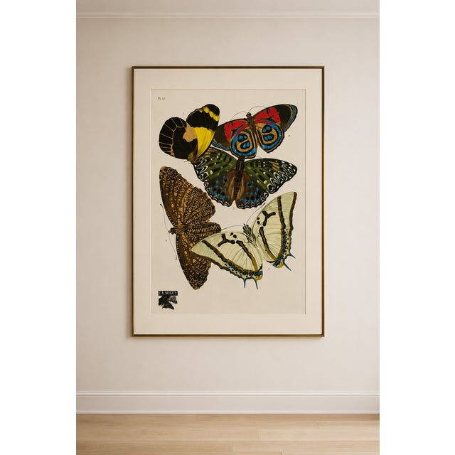 Art Deco Butterflies by E. A. Séguy, Vintage Art Print Reproduction, 32" X 48" For Sale - Image 12 of 13