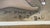 Mid-Century Modern Mid 20th Century Monumental 5.5 Ft Balinese Masterpiece Painting by Dewa Nyoman Jati (Gati), Ubud For Sale - Image 3 of 14