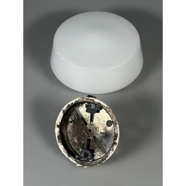 Mid-Century Ceiling Light in Frosted Glass from RZB, 1960s For Sale - Image 14 of 15