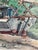 Portfolio by Pamela Wright “St John Antigua” Set of 4 Color Lithographs on Heavy Paper in Art Presentation Folder For Sale In Charleston - Image 6 of 12