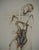 Fred Deux, Anthropomorphic Wood, Original Engraving For Sale - Image 5 of 6