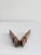 Vintage Nutcracker in Brass and Wood, 1960s For Sale - Image 4 of 15