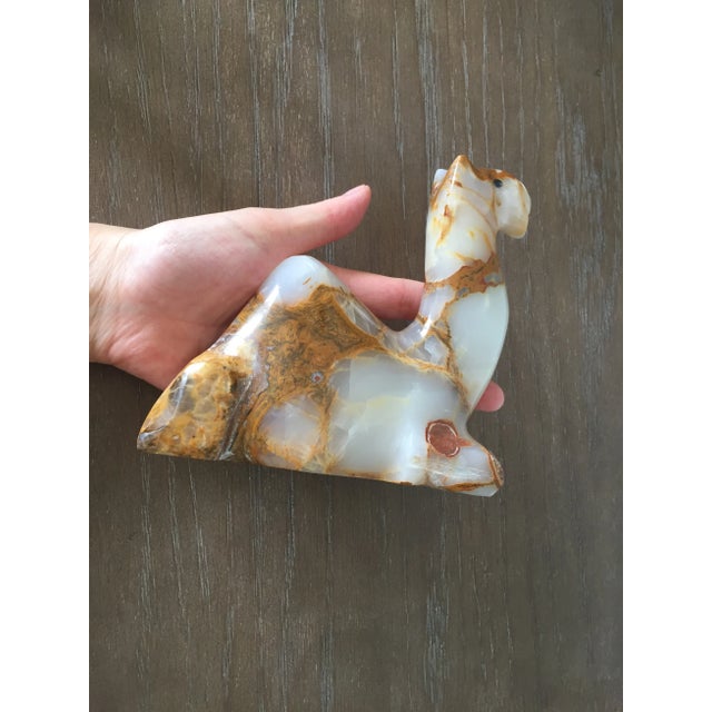 Carved and Polished Onyx Sitting Camel For Sale - Image 12 of 13