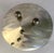 Born in 1958 in Burlington, Vermont, Bruce R. MacDonald creates captivating metal works out of stainless steel. MacDonald...