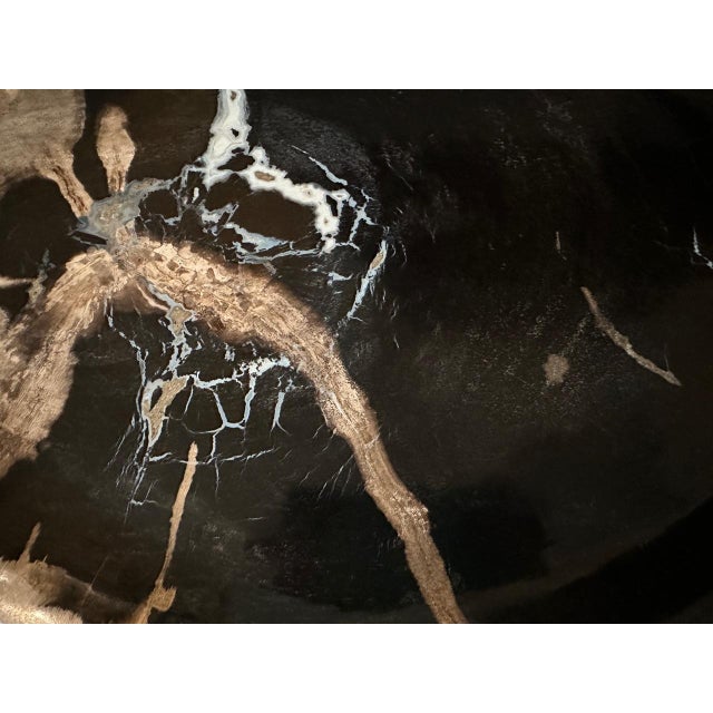 2010s Andrianna Shamaris Petrified Wood Shallow Dish For Sale - Image 5 of 5