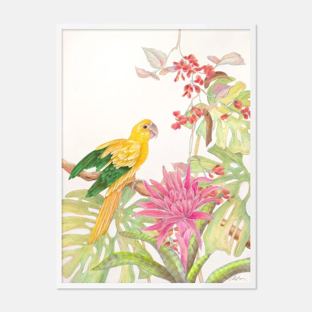 Contemporary My Favorite Perch by Allison Cosmos in White Framed Paper, Large Art Print For Sale - Image 3 of 3