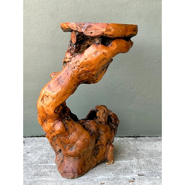 Vintage Japanese Twisted Root Pedestal For Sale - Image 4 of 12