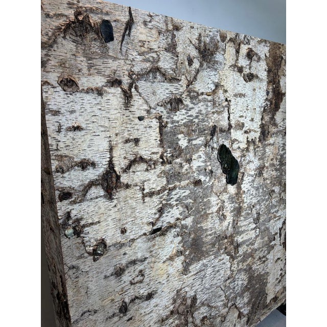 Birch Bark Bookcase by Sophie Gallardo & George Guillaume Cassan For Sale - Image 15 of 18