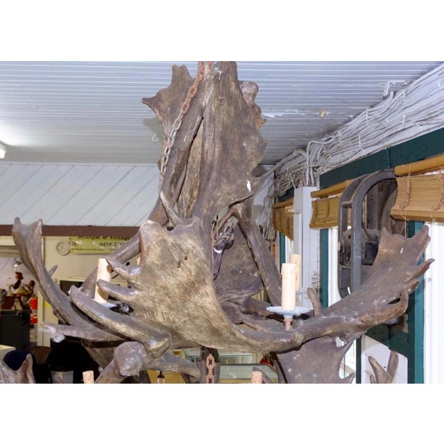 1990s Extremely Large Baronial Hunting Lodge Style Moose Antler Horn Chandelier For Sale - Image 4 of 11
