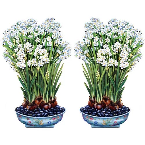 Katharine Barnwell Trompe l'Oeil Free-Standing Pair of Paperwhites For Sale - Image 4 of 4