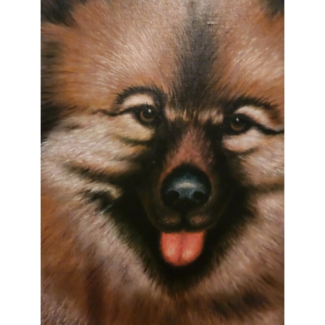 Vintage Framed Maitland Smith Attributed Keeshond Painting Oil on Board For Sale - Image 9 of 11