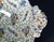 Ceramic Old Hall Earthenware ‘Shell’ Pattern Tazza or Comport, Polychrome Circa 1861–1886 For Sale - Image 7 of 10