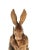 Rabbit Hook Hunter Bunny With Horns Black Forest Style Vintage Whimsical Decor For Sale In Tulsa - Image 6 of 9