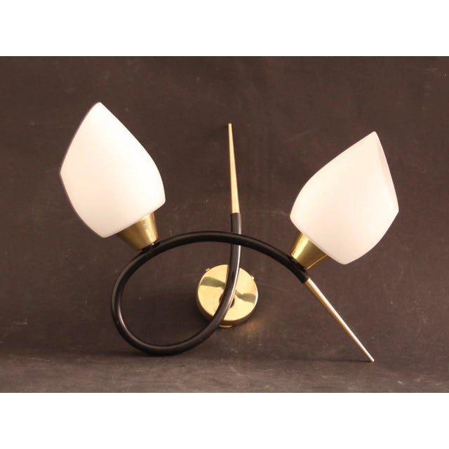 Metal Sconce with Brass and Glass Shades from Lunel, France, 1960s For Sale - Image 7 of 8