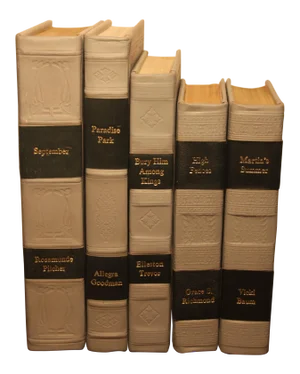 Traditional Leather Bound Books- Set of 5