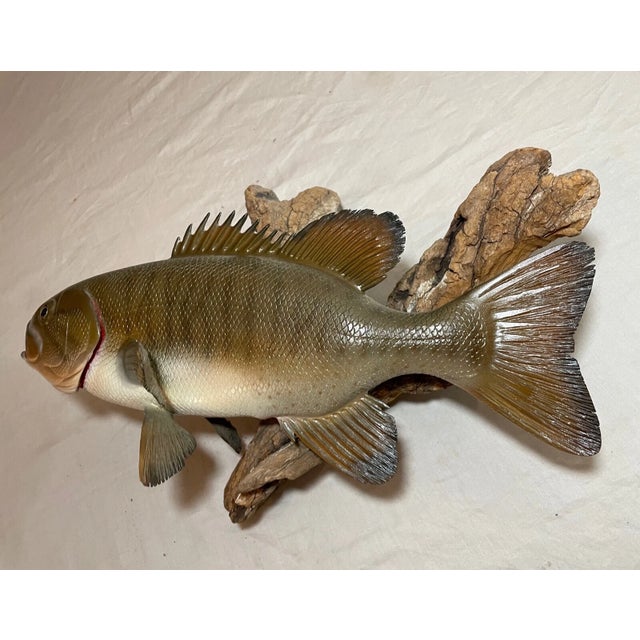 Vintage Handmade Eg Carved Wood Smallmouth Bass Wall Fish Mount Trophy Sculpture For Sale - Image 13 of 18
