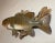 Vintage Handmade Eg Carved Wood Smallmouth Bass Wall Fish Mount Trophy Sculpture For Sale - Image 13 of 18