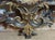 Antique Louis XV Mirror with Scrolling Foliage, Shells and Leaves, 1920s For Sale - Image 6 of 8