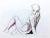 "Quick Sketch Vi" Contemporary Original Figure Drawing by Kathleen Ney, Tasteful Nude For Sale