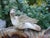 Cast Iron Birdbath, 1990s For Sale - Image 9 of 17