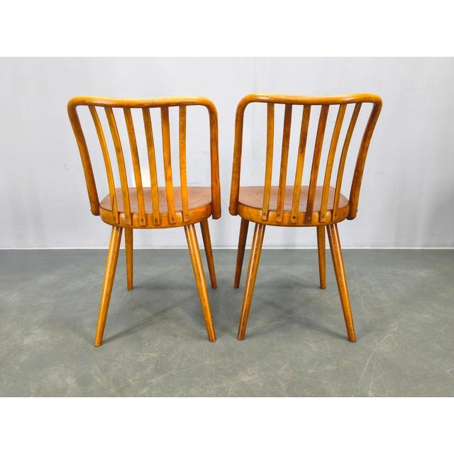 Dining Chairs by Antonin Suman for Ton, 1960s, Set of 4 For Sale - Image 15 of 18