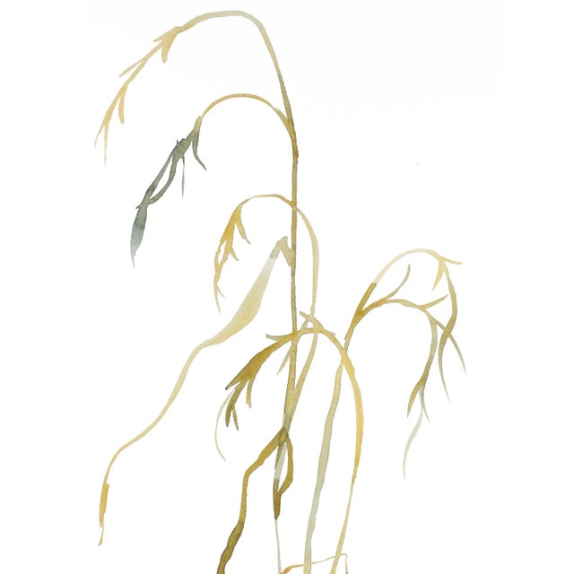 Original watercolor painting on 140 lb cold press paper Artist: Elizabeth Becker Year: 2022 Image and Paper Size: 11" x...