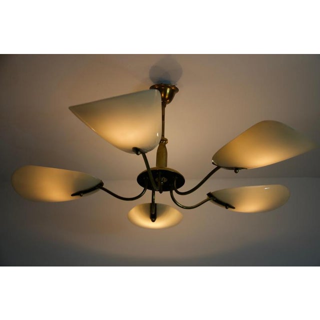Mid-Century Modern Mid-Century Italian Brass 5-Arm Sputnik Chandelier, Germany, 1950s For Sale - Image 3 of 15