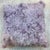 Gorgeous alpaca fleece pillow in a very pale purple. It is fury and soft and cozy and delightful. It has a suede back with...